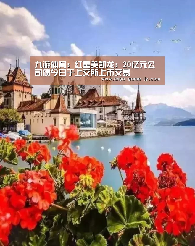 九游体育:红星美凯龙:20亿元公司债今日于上交所上市交易(图3) 九游体育