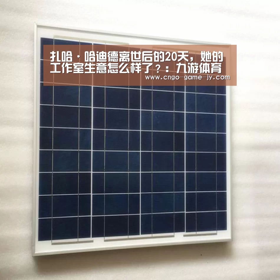 扎哈·哈迪德离世后的20天,她的工作室生意怎么样了?:九游体育(图1) 九游体育