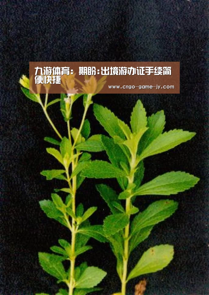 九游体育:期盼:出境游办证手续简便快捷(图3) 九游体育