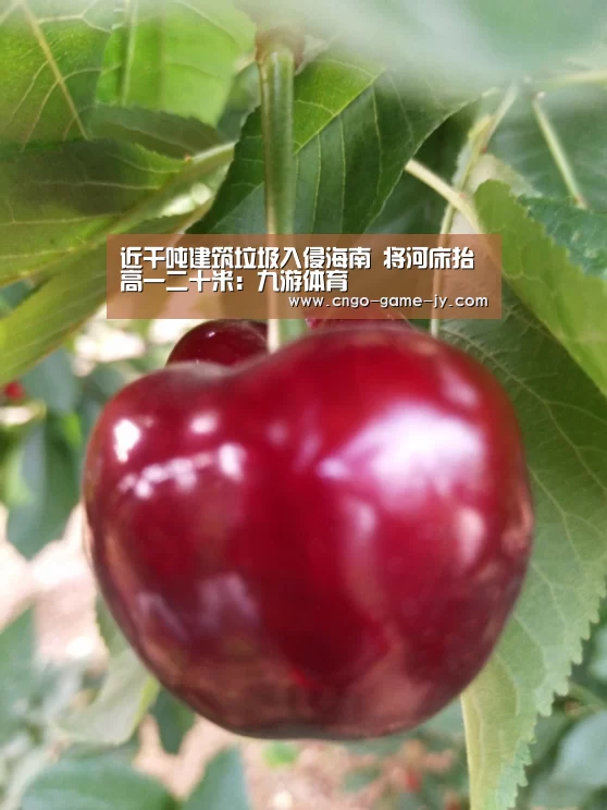 近千吨建筑垃圾入侵海南 将河床抬高一二十米:九游体育(图1) 九游体育